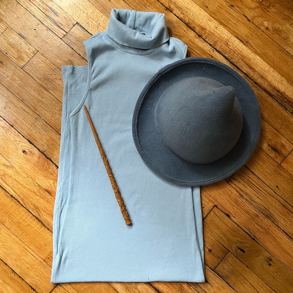 Fleur Delacour Harry Potter Halloween costume